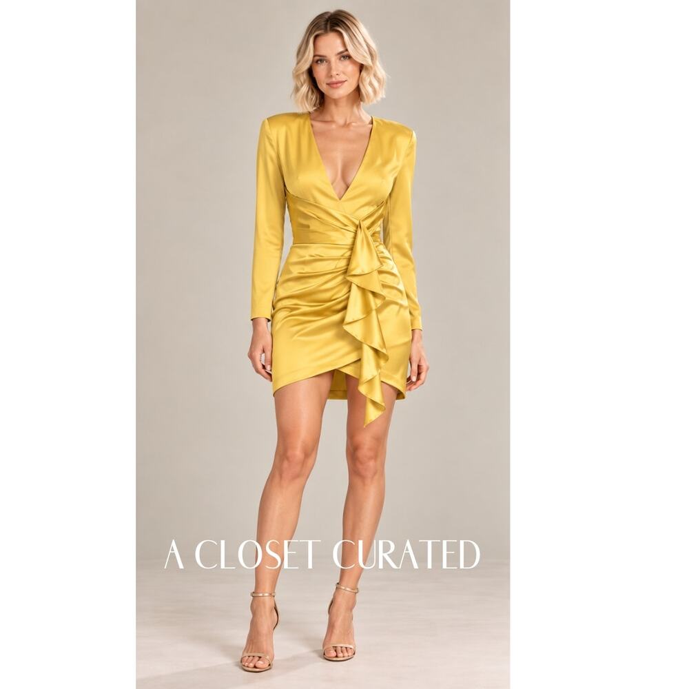 Haney Dress 8 NWT